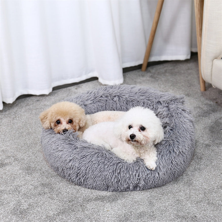 Lion & Ruff™ Luxury Ultra Comfort Bed